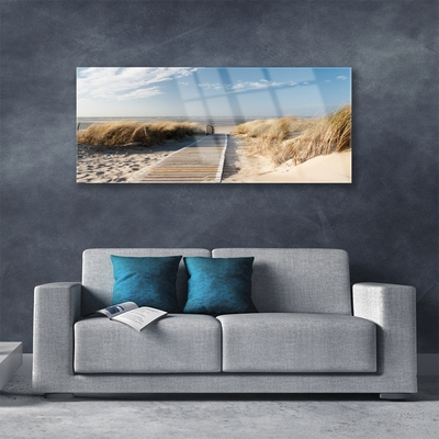 Acrylic Print Beach path landscape grey green blue