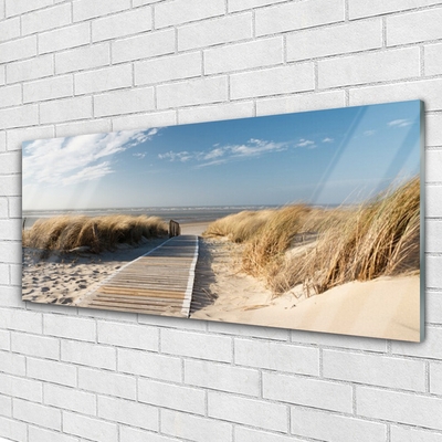 Acrylic Print Beach path landscape grey green blue