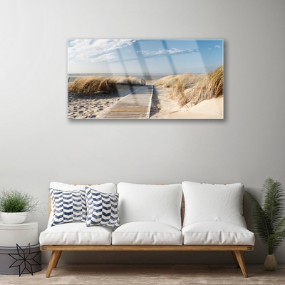 Acrylic Print Beach path landscape grey green blue