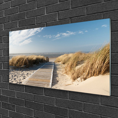 Acrylic Print Beach path landscape grey green blue