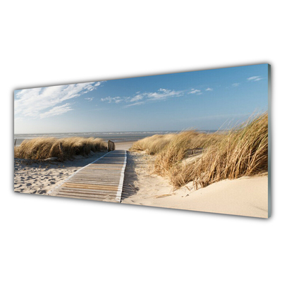 Acrylic Print Beach path landscape grey green blue