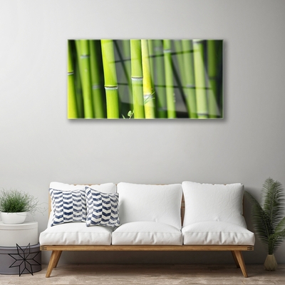 Acrylic Print Bamboo nature green