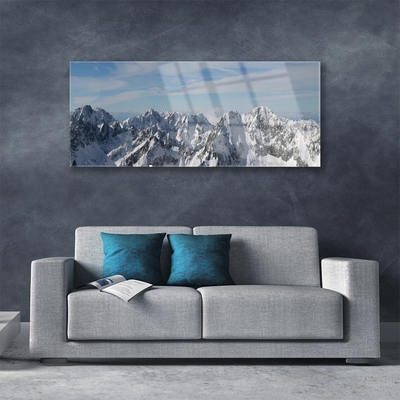 Acrylic Print Mountains landscape grey white