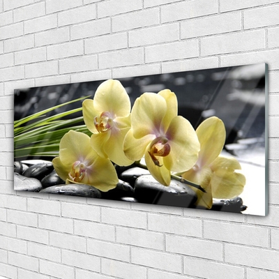 Acrylic Print Flowers floral yellow