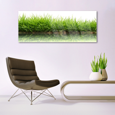 Acrylic Print Weed nature green