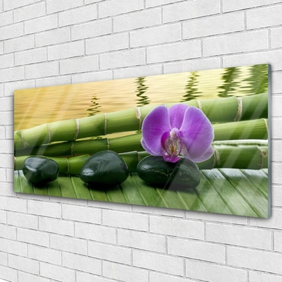 Acrylic Print Flower stones bamboo stalks floral pink black green