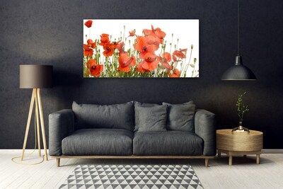 Acrylic Print Poppies floral red
