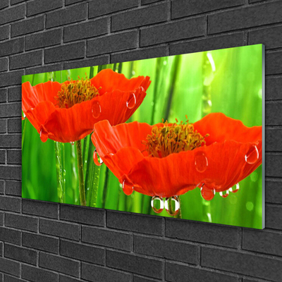 Acrylic Print Poppies floral red green