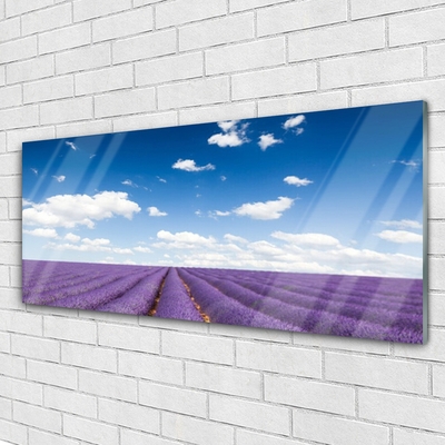 Acrylic Print Meadow flowers nature purple