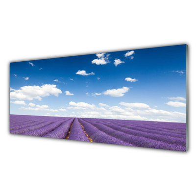 Acrylic Print Meadow flowers nature purple