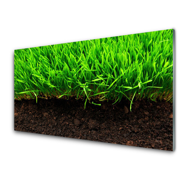 Acrylic Print Grass nature green