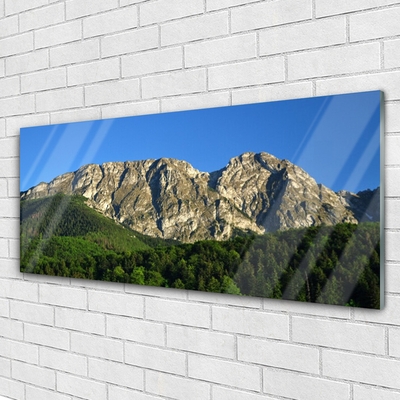 Acrylic Print Mountain forest nature grey green