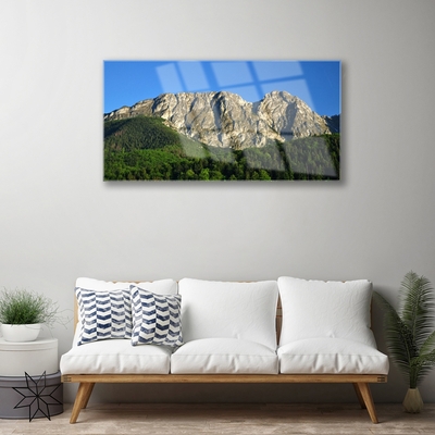 Acrylic Print Mountain forest nature grey green