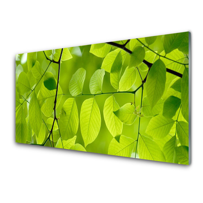 Acrylic Print Leaves nature green