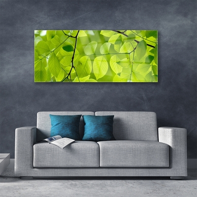 Acrylic Print Leaves nature green