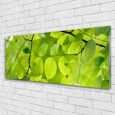 Acrylic Print Leaves nature green