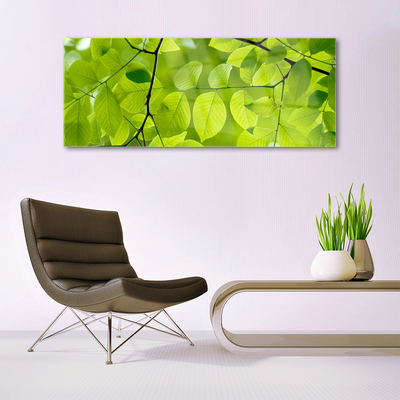 Acrylic Print Leaves nature green