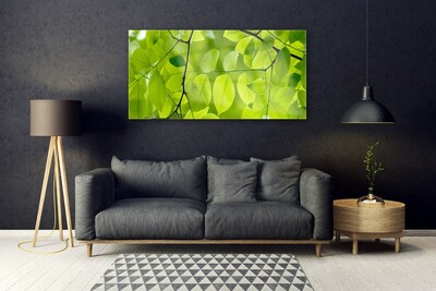 Acrylic Print Leaves nature green