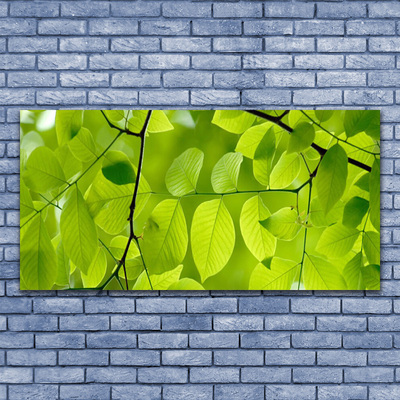 Acrylic Print Leaves nature green