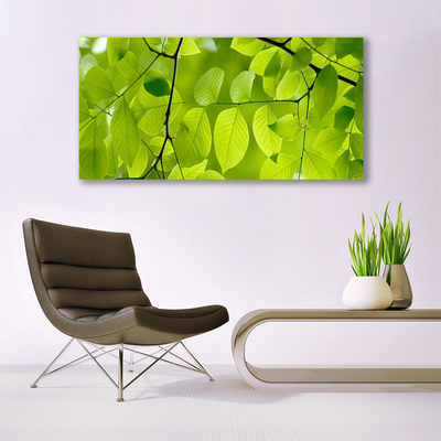 Acrylic Print Leaves nature green