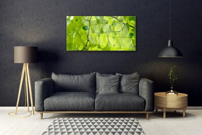 Acrylic Print Leaves nature green