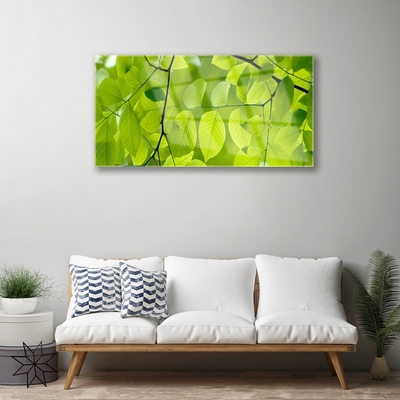 Acrylic Print Leaves nature green