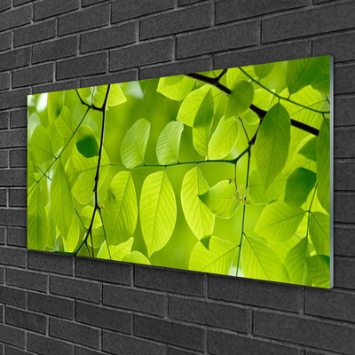 Acrylic Print Leaves nature green