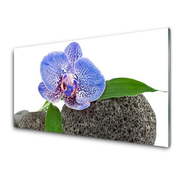 Acrylic Print Flower floral purple green