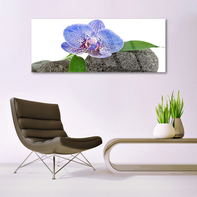 Acrylic Print Flower floral purple green