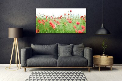 Acrylic Print Poppies nature red green