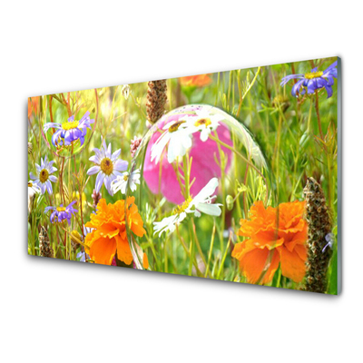 Acrylic Print Flowers nature multi