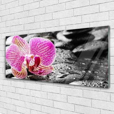 Acrylic Print Flower stones floral pink black