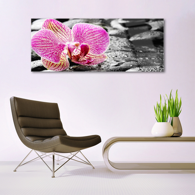 Acrylic Print Flower stones floral pink black