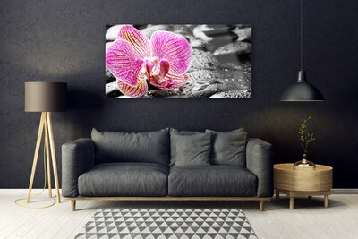 Acrylic Print Flower stones floral pink black