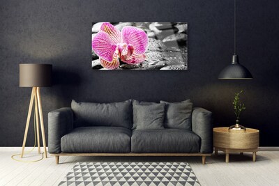 Acrylic Print Flower stones floral pink black