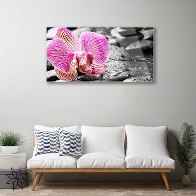 Acrylic Print Flower stones floral pink black