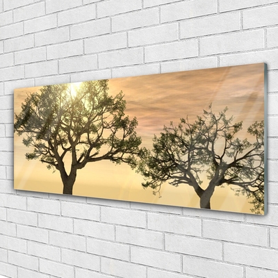 Acrylic Print Trees nature brown green