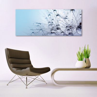 Acrylic Print Dandelion floral grey purple