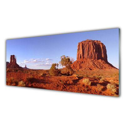 Acrylic Print Desert landscape brown green