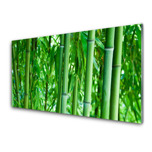 Acrylic Print Bamboo stalk floral green