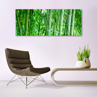 Acrylic Print Bamboo stalk floral green