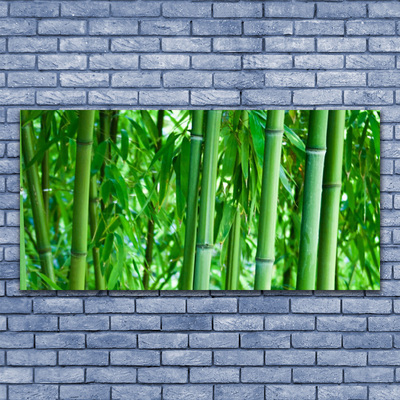 Acrylic Print Bamboo stalk floral green