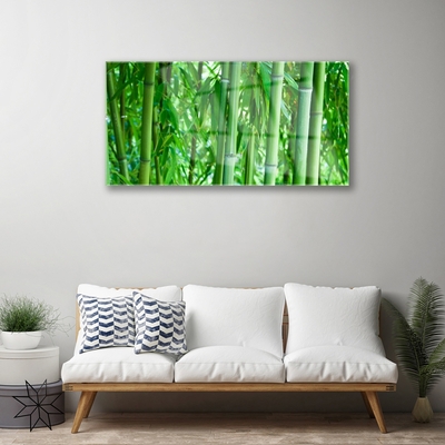 Acrylic Print Bamboo stalk floral green