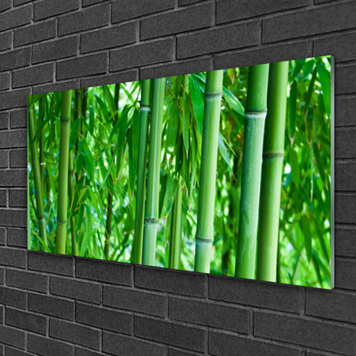 Acrylic Print Bamboo stalk floral green