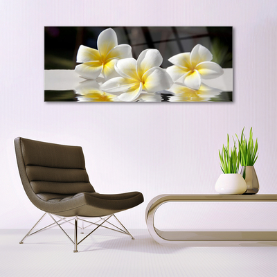 Acrylic Print Flowers floral white yellow