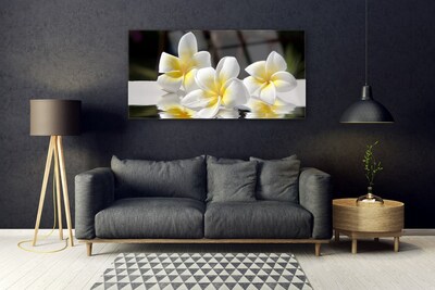 Acrylic Print Flowers floral white yellow