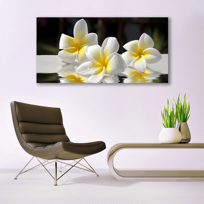 Acrylic Print Flowers floral white yellow