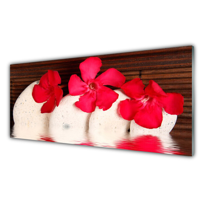 Acrylic Print Flower stones floral red white