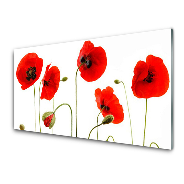 Acrylic Print Poppies floral red black green