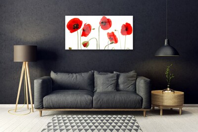 Acrylic Print Poppies floral red black green